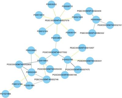 Genome-wide identification and drought stress-induced expression analysis of the NHX gene family in potato
